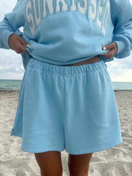 Blue Embroidered Sweat Shorts